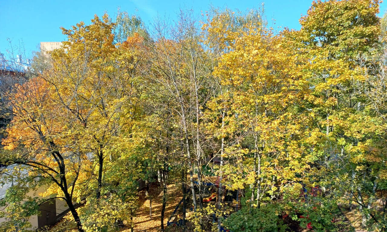 квартира г Красногорск Павшино Тёплый бетон пер Оптический 8 фото 5