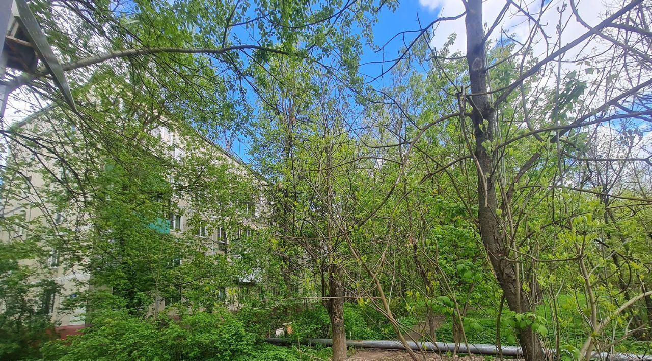 квартира г Химки мкр Сходня ул Чапаева 21 Сходня фото 21