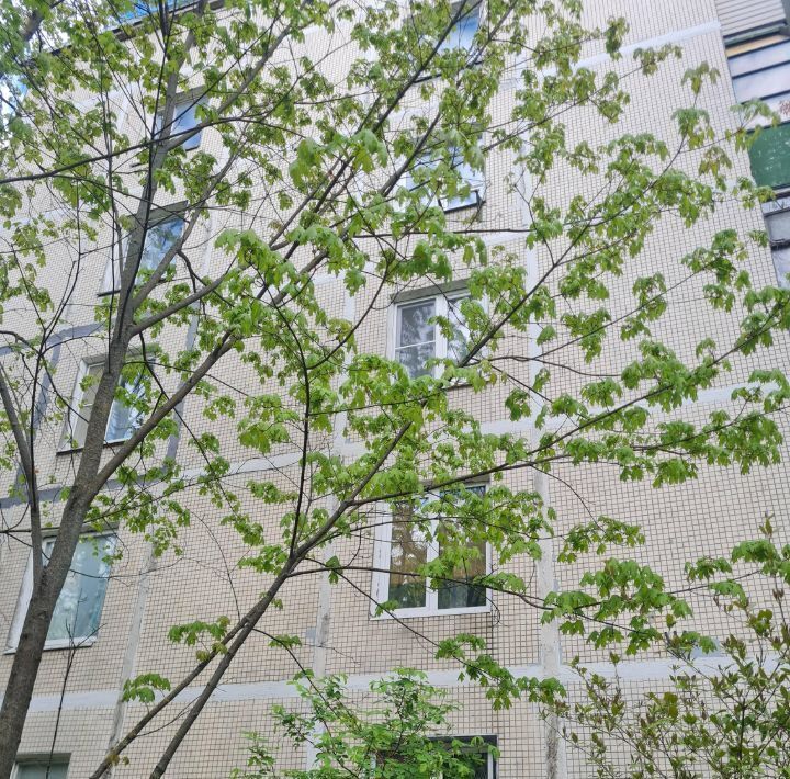 квартира г Химки мкр Сходня ул Чапаева 21 Сходня фото 22