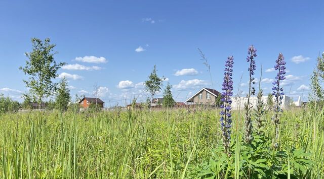 Отрадная тер., Ипподром фото