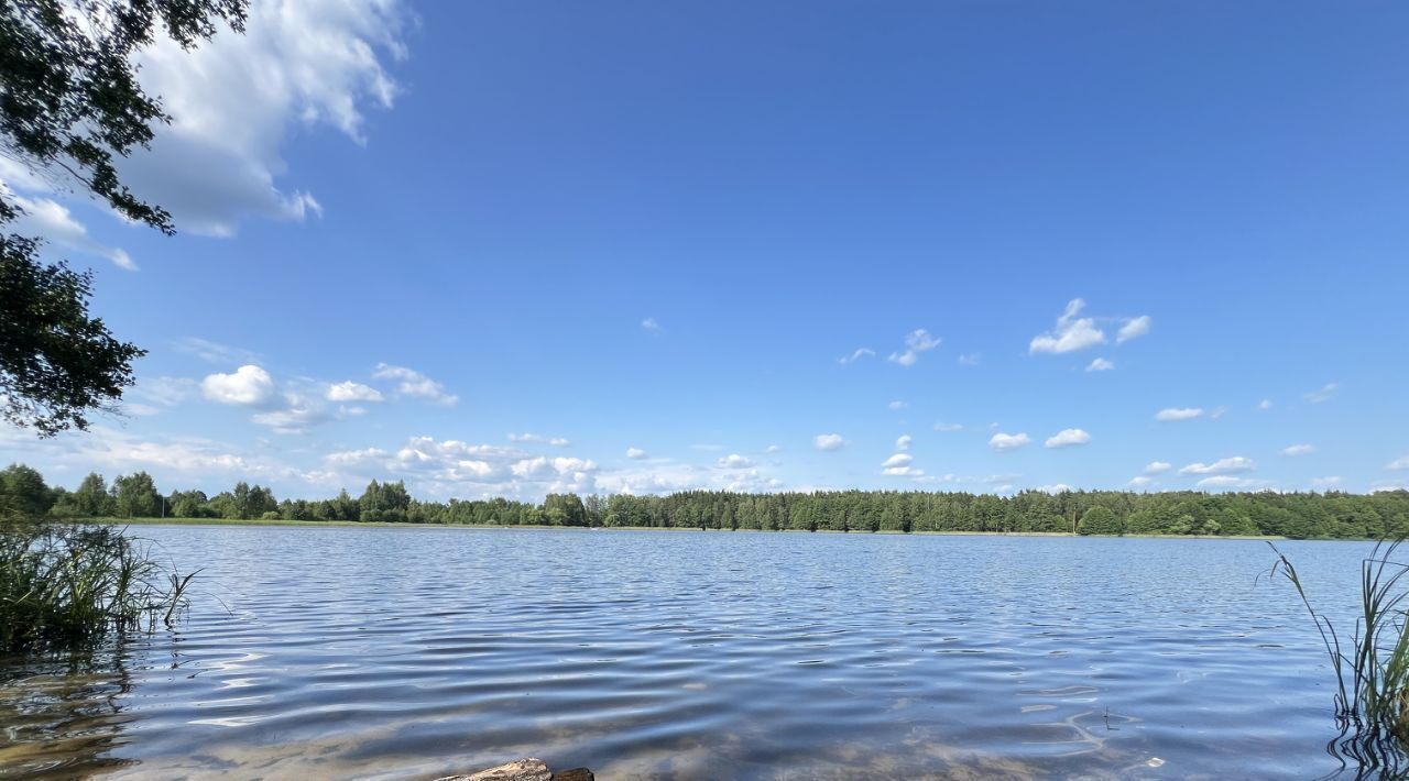 земля городской округ Воскресенск г Белоозёрский Отрадная тер., Ипподром фото 17