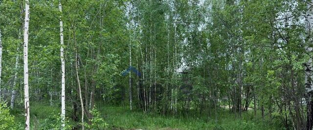 земля Дубравная ул Тирякле фото
