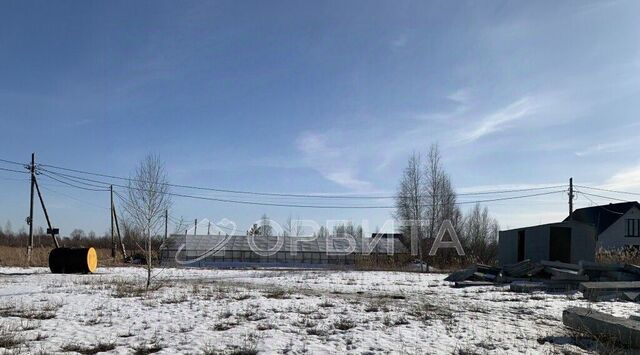 р-н Центральный СОСН Березка-3 тер. фото