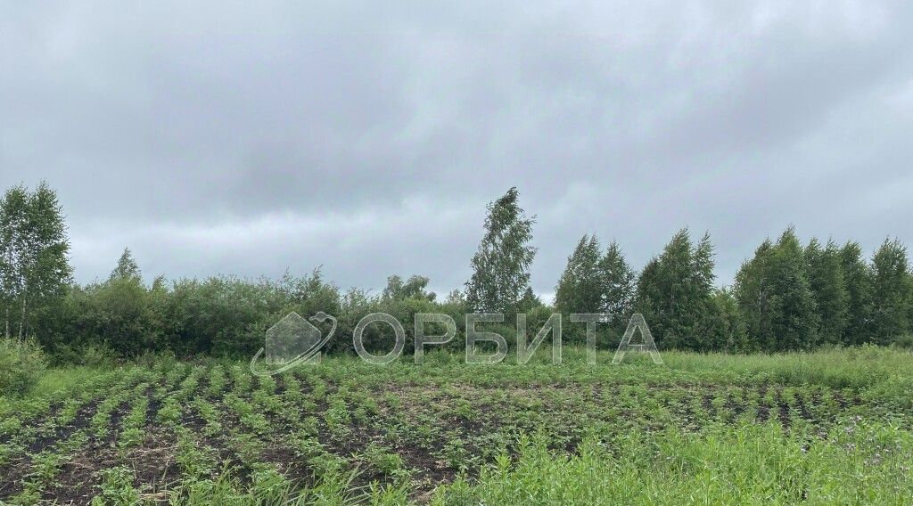 земля г Тюмень р-н Центральный снт Поле чудес ул Сиреневая фото 1