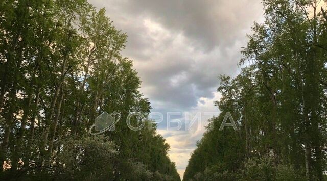 ул Центральная фото