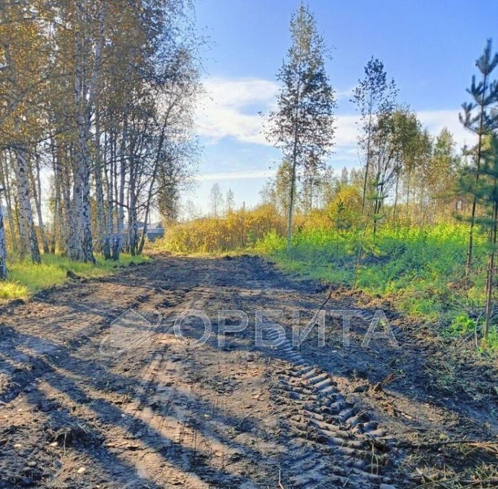 земля г Ишим снт Медик фото 1