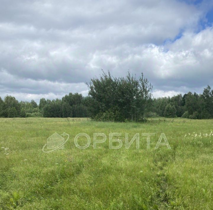 земля г Тюмень р-н Центральный снт Поле чудес ул Сиреневая фото 2