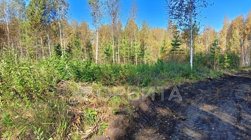 земля г Ишим снт Медик фото 2