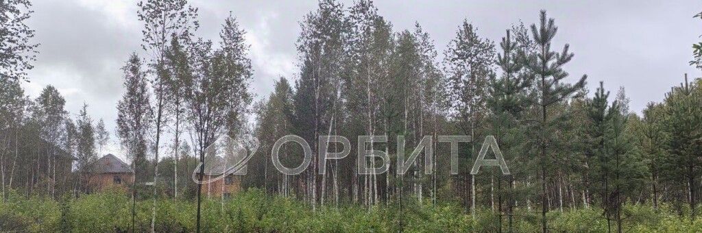 земля г Ишим снт Медик фото 4