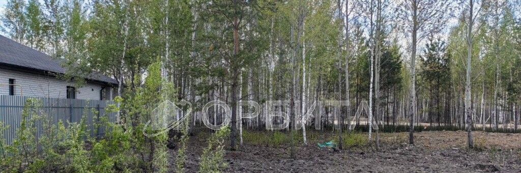 земля г Ишим снт Медик фото 6