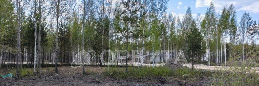 земля г Ишим снт Медик фото 7