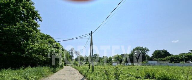 земля ст-ца Саратовская ул Ореховая фото