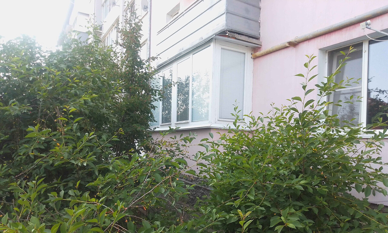 квартира г Бор п Октябрьский ул Молодежная 5 фото 4