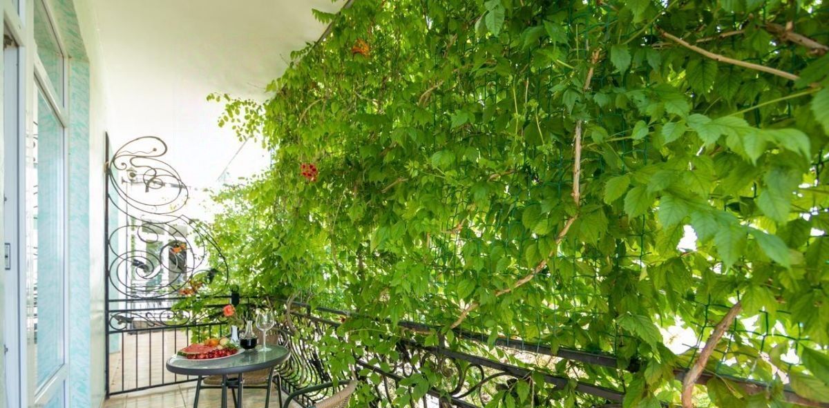 дом г Евпатория пгт Заозерное ул Космическая 23 фото 10