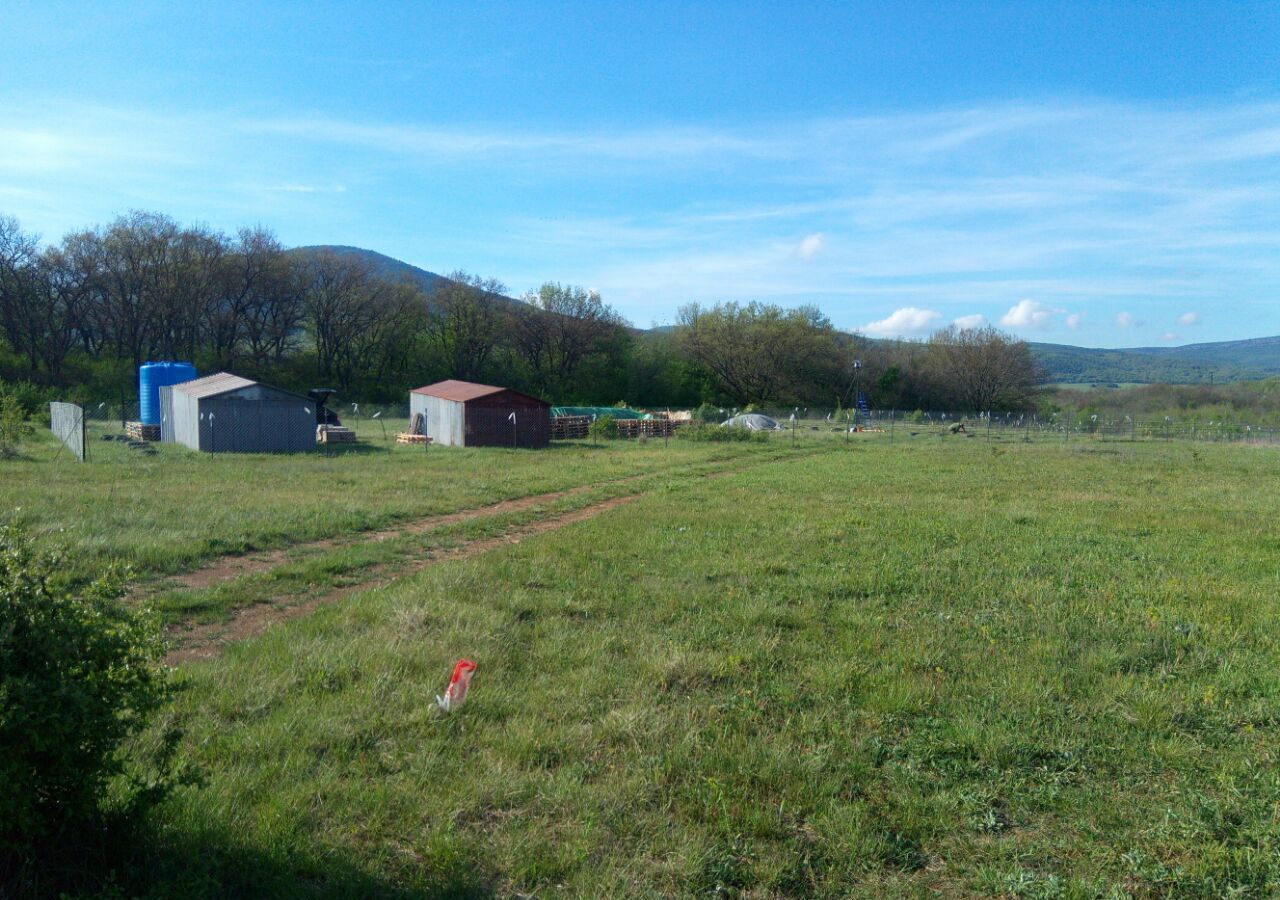 земля г Ялта г Алупка Орлиновский муниципальный округ, КСП Красный Октябрь, 391, Се<текст-удален>оль, Балаклавский р-н фото 1