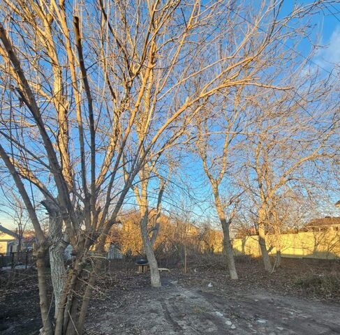 ул Каштановая 224 фото