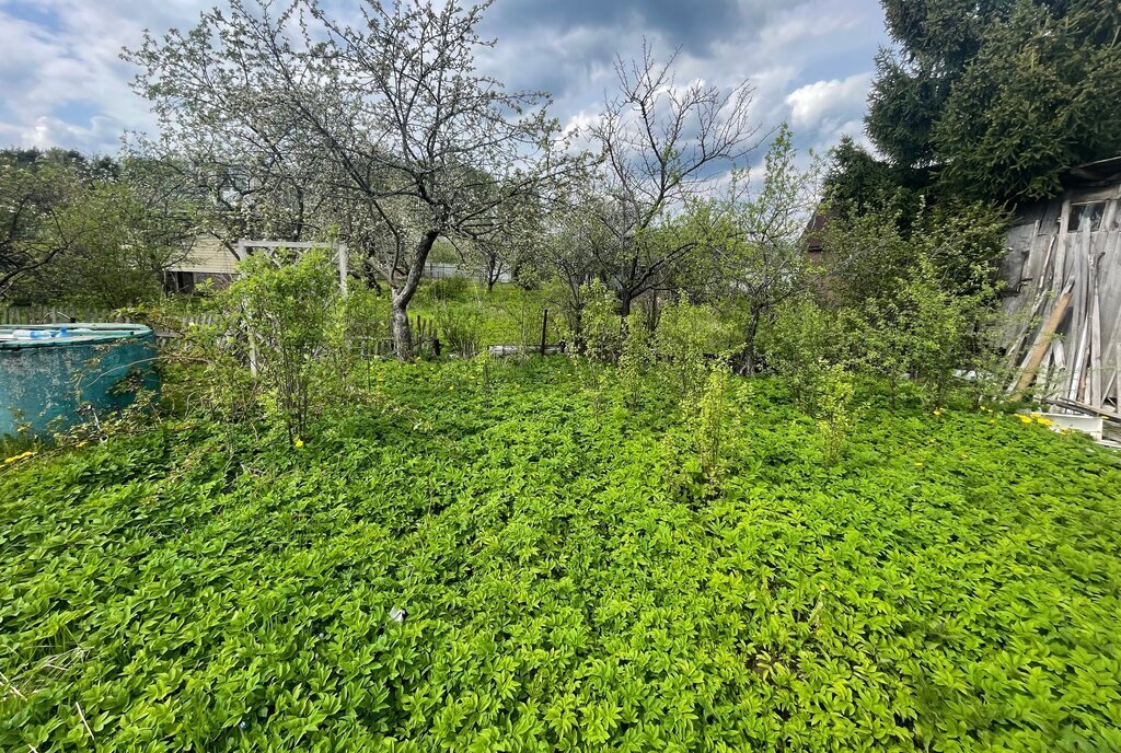 земля городской округ Богородский г Ногинск снт Ромашка 355 фото 12