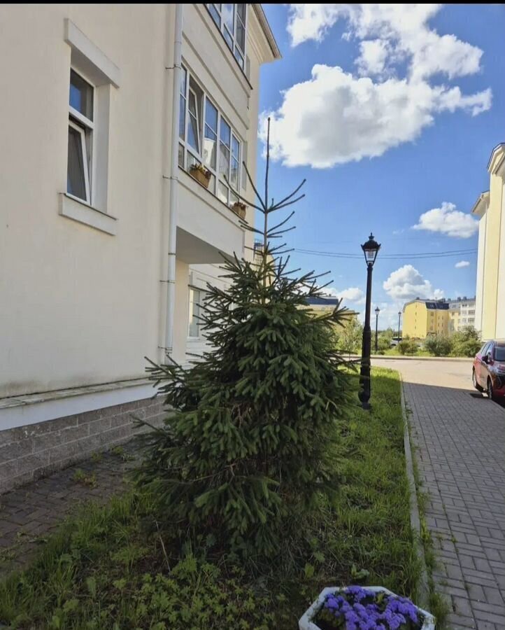 квартира г Пушкин р-н Пушкинский Анциферовская ул., 9В фото 4