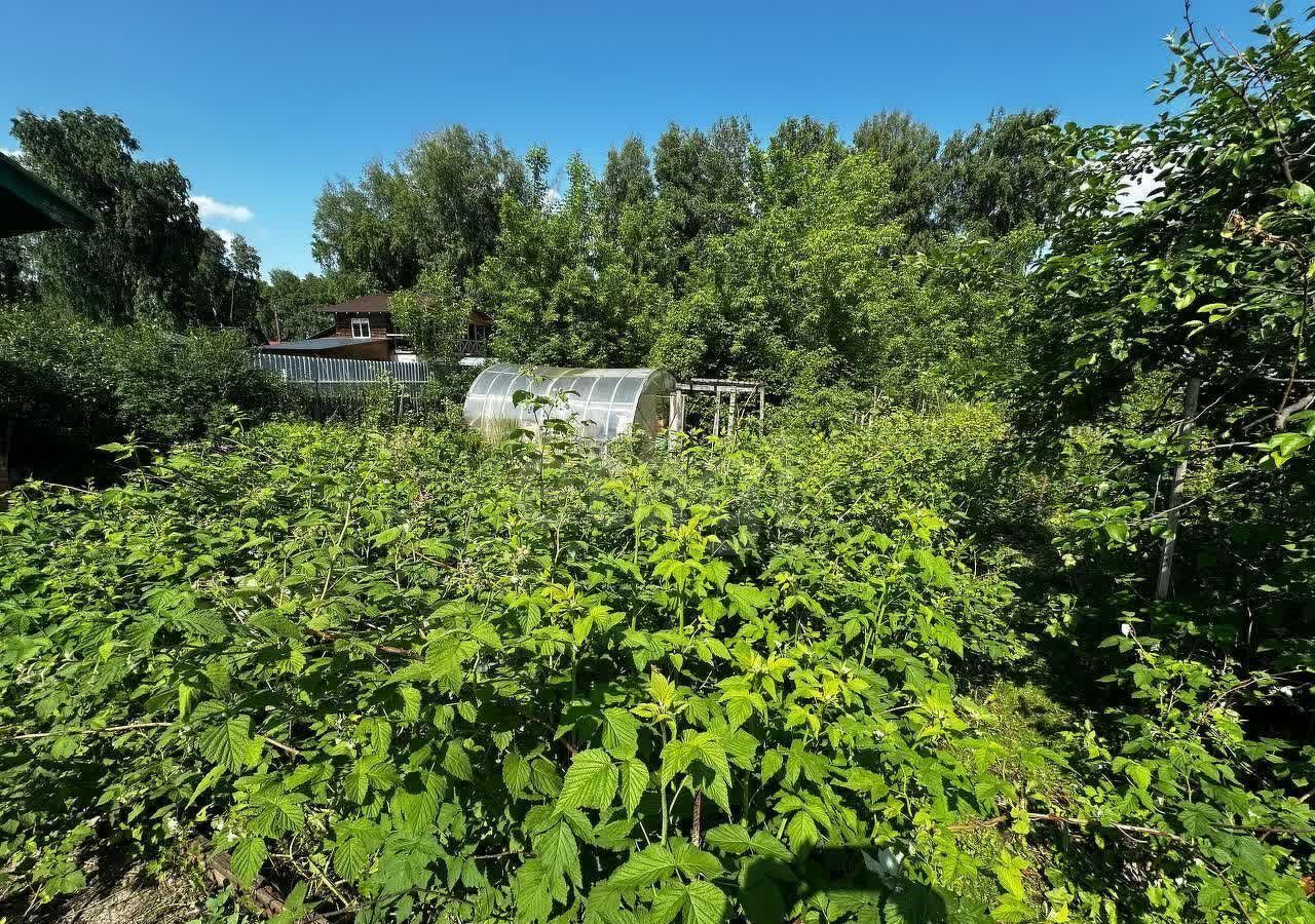 дом г Искитим снт Связист ул Дорожная 18 фото 8
