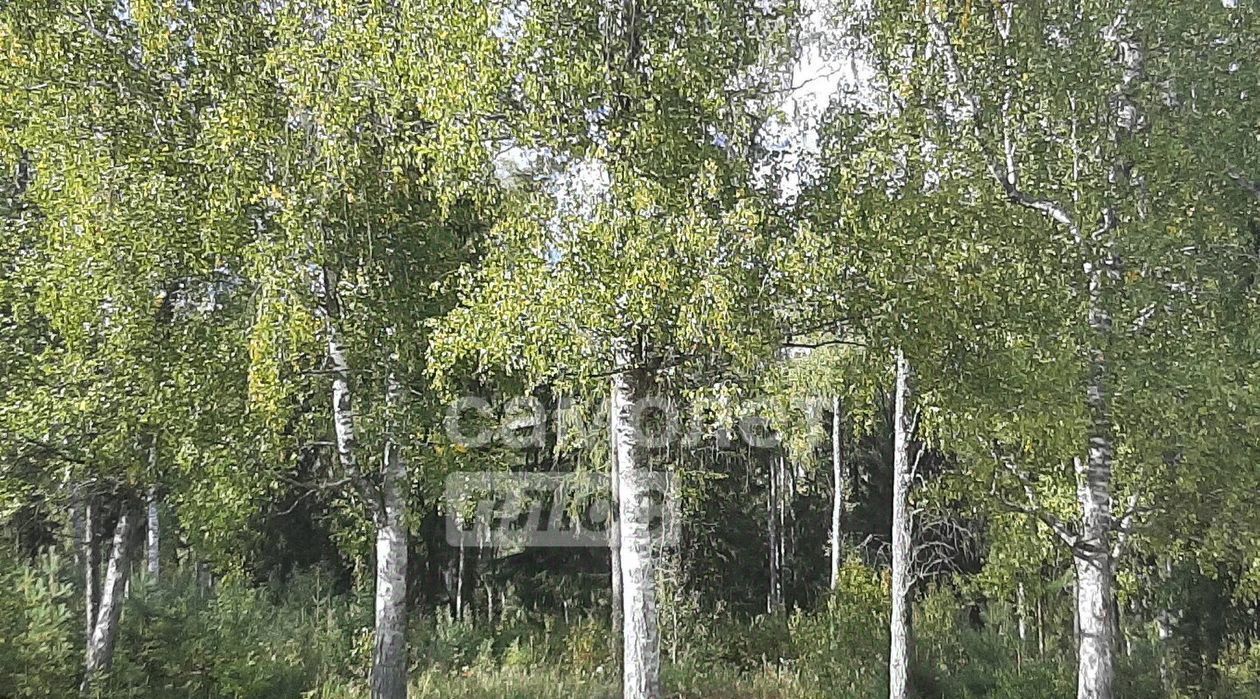земля р-н Кольчугинский г Кольчугино ул. Хутор Белая Речка, 18 фото 10