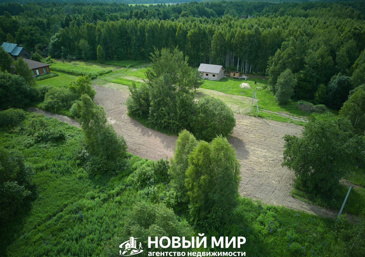 земля г Бор д. Ушенино фото 3