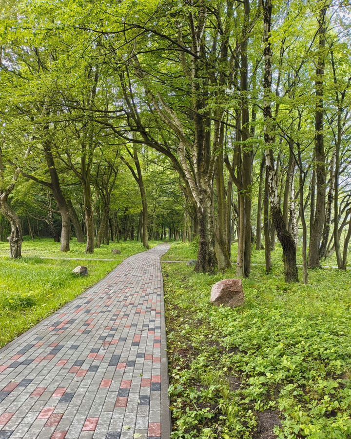 квартира р-н Светлогорский г Светлогорск ул. Дюнная, д. 21, корп. 2 фото 18