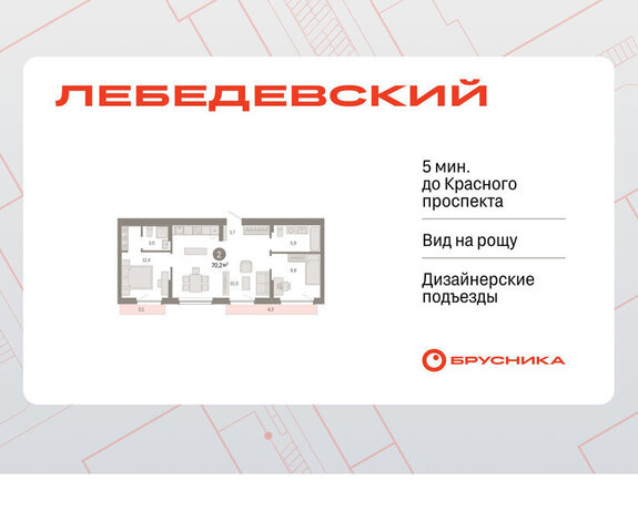 квартал № 5 Заельцовская ЖК «Лебедевский» фото