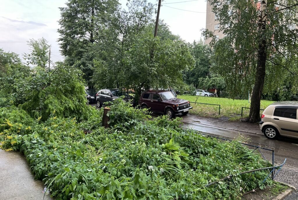 квартира г Владимир ул Комиссарова 6а фото 28