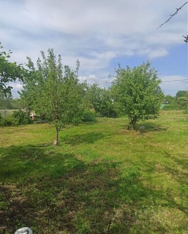 с Ильинское 42 км, городской округ Домодедово, Новокаширское шоссе фото