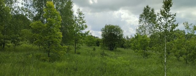земля р-н Пролетарский Ревякино, д. Ширино фото