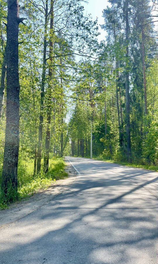 квартира г Зеленогорск Курортный ул Строителей 3к/2 фото 3