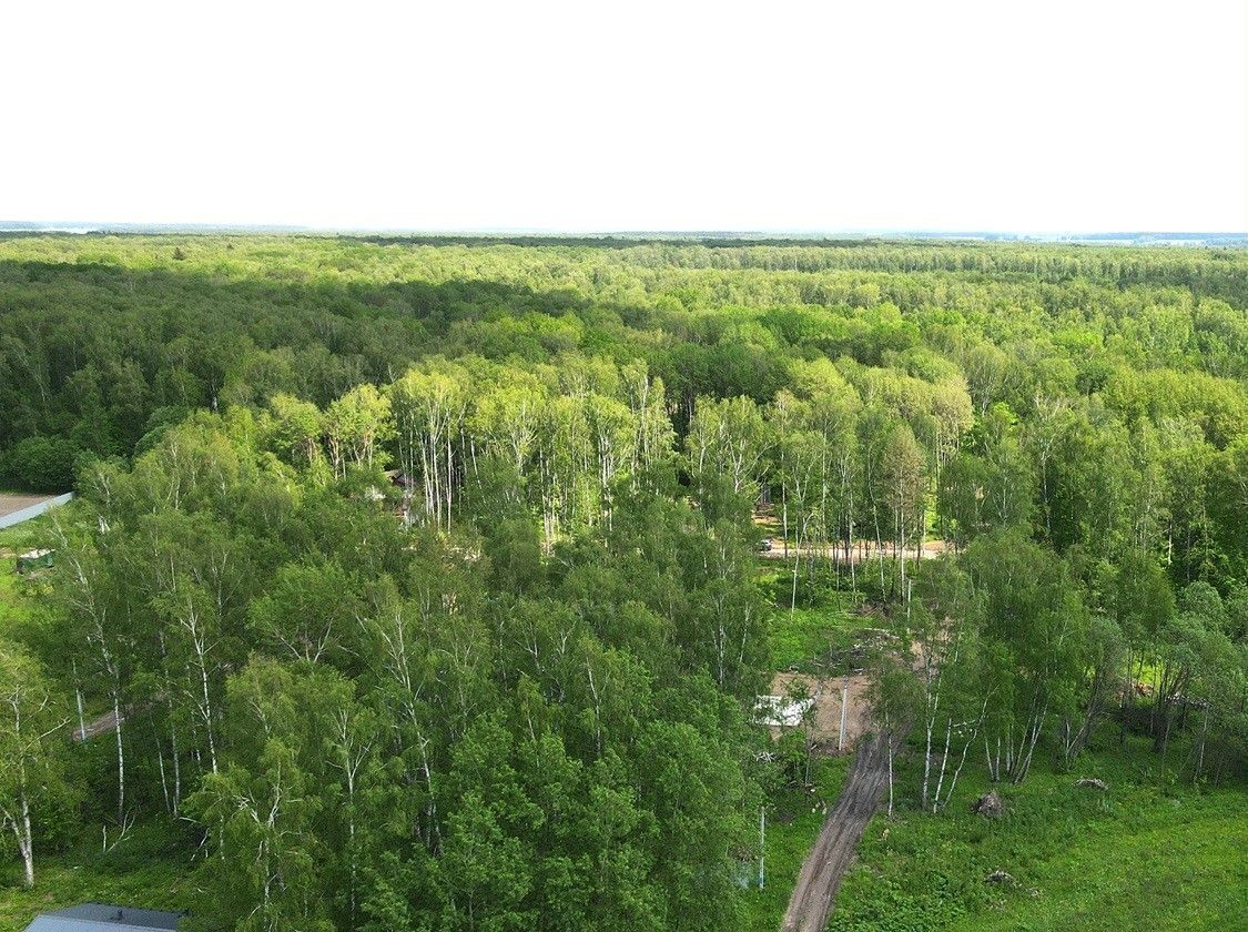 земля г Домодедово снт Матвеевка 28 км, 307с 1, Новокаширское шоссе фото 3