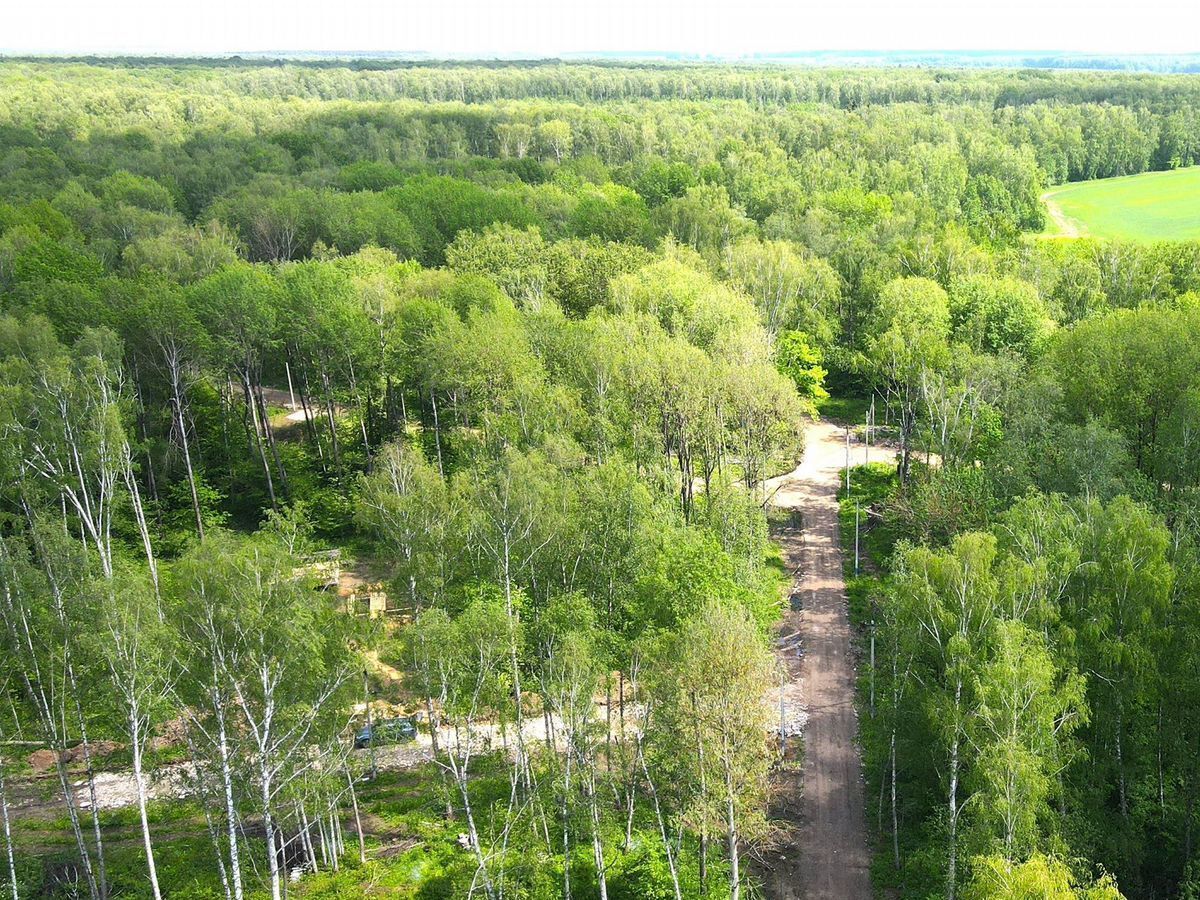 земля г Домодедово снт Матвеевка 28 км, 307с 1, Новокаширское шоссе фото 4