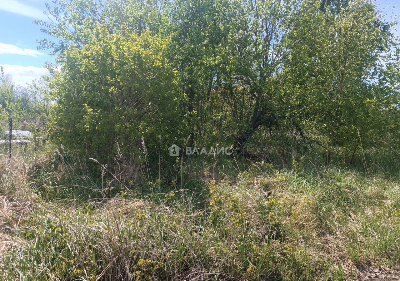 земля р-н Зеленоградский г Зеленоградск ул Калининградская фото 3