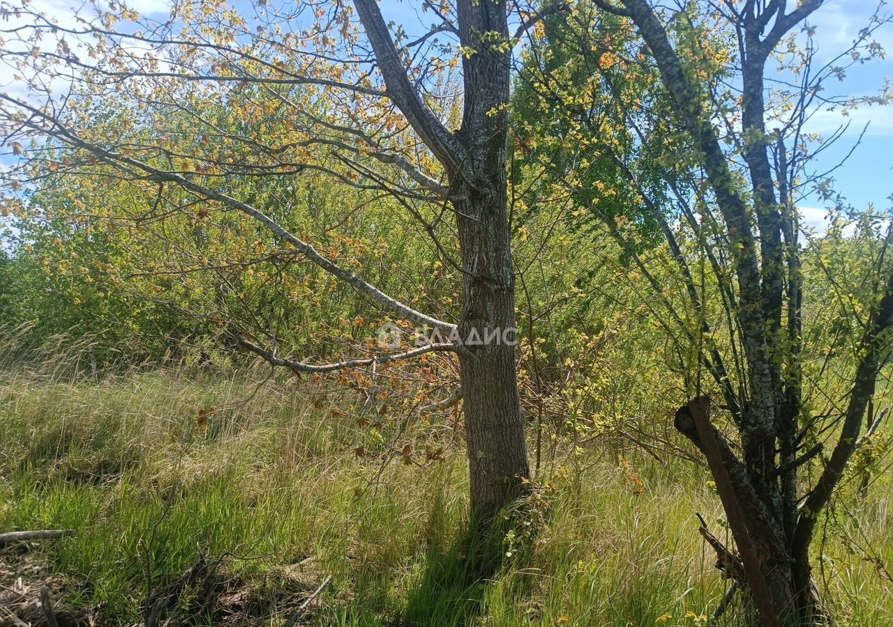 земля р-н Зеленоградский г Зеленоградск ул Калининградская фото 4
