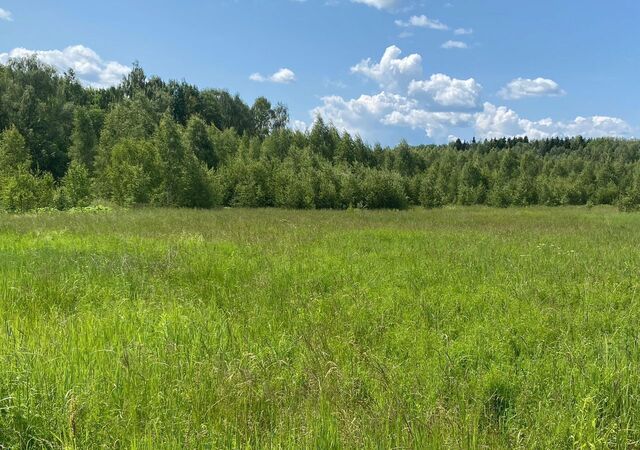 сельское поселение Шумятино, Кудиново фото