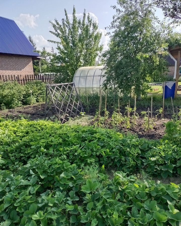 дом г Омск р-н Центральный ул Ленина фото 6