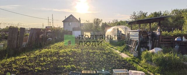 снт Восток фото