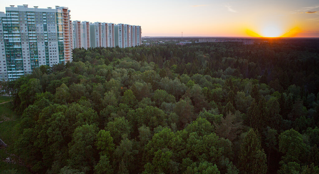 квартира г Красногорск ул Игоря Мерлушкина 3 Аникеевка фото 5