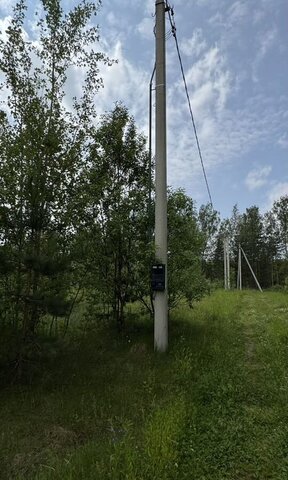 земля д Добрый Десногорск фото