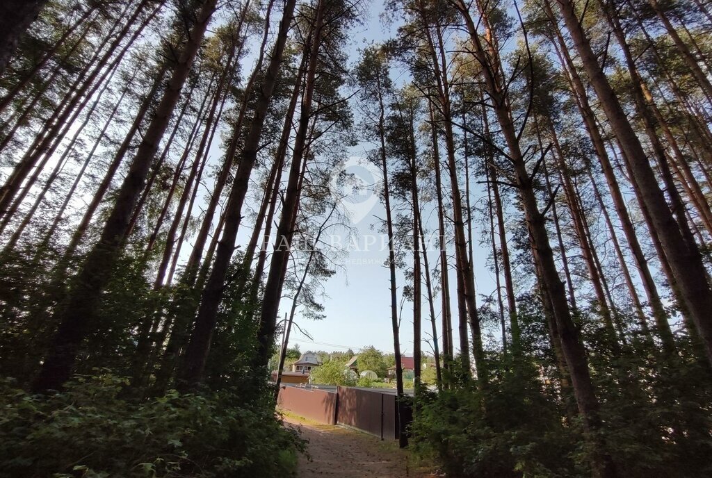дом р-н Рыбинский г Рыбинск снт Дружба-Слип 143 фото 13