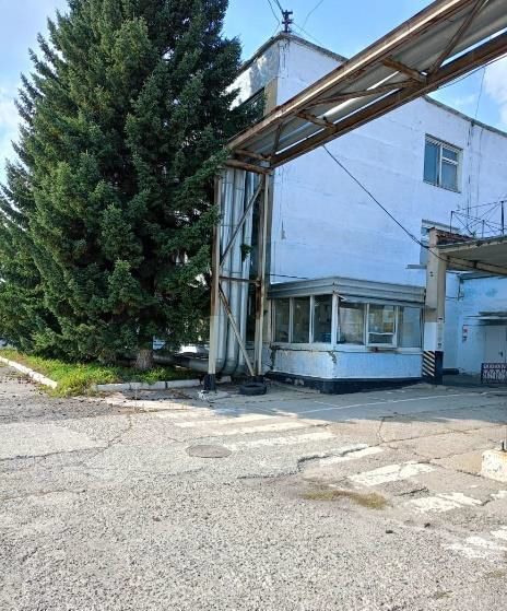 офис г Заринск ул Зеленая 6/3 фото 23