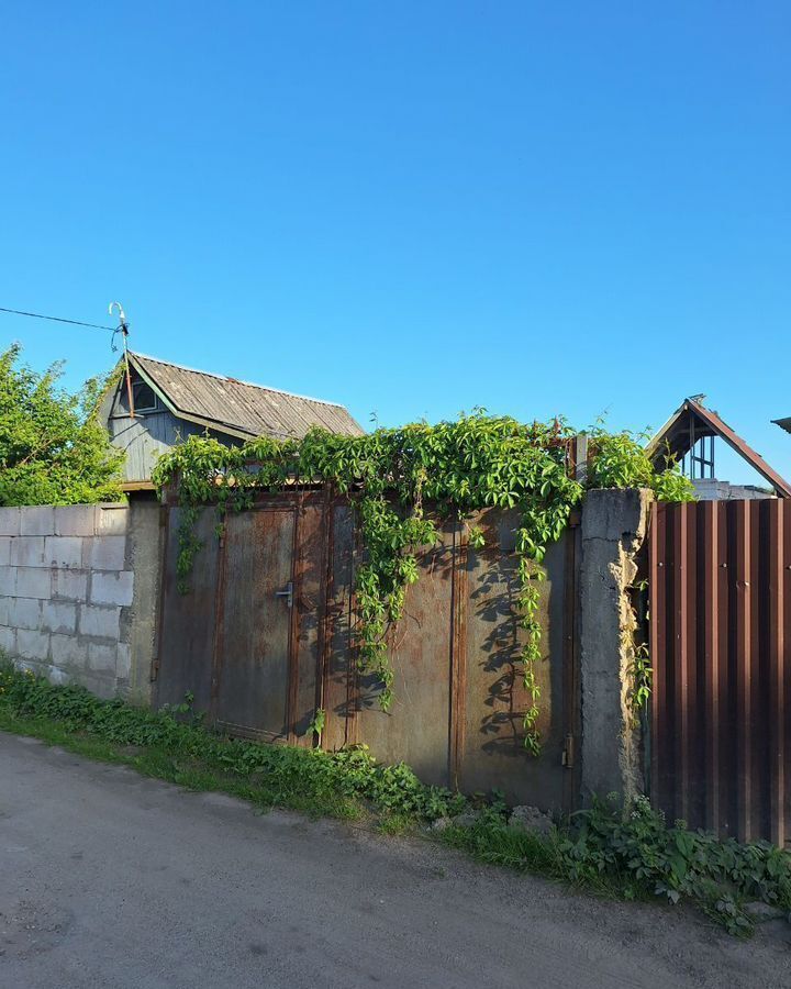 земля г Светлый снт Труд-3 Светловский г. о. фото 1