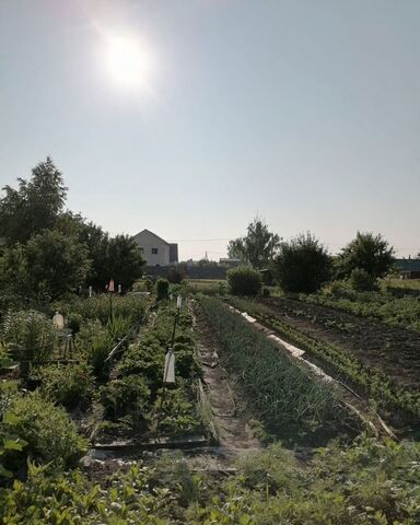 снт Вишенка Толмачёвский сельсовет, Лесная ул, Новосибирский р-н, Обь фото