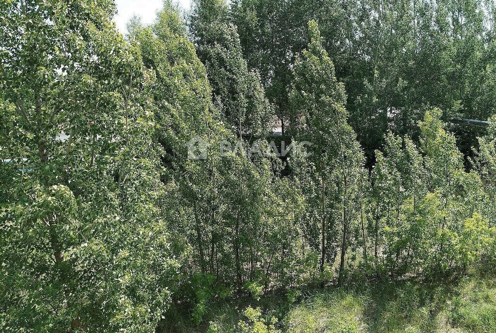 квартира г Пенза ул Долгорукова 100 фото 8