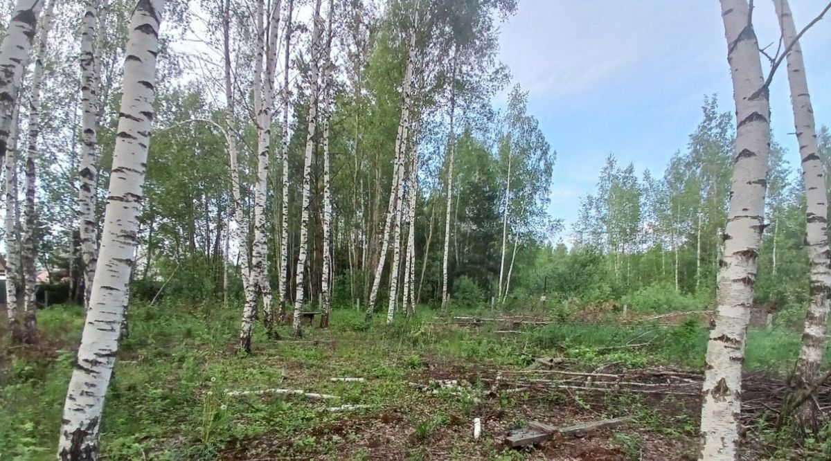земля г Электрогорск ул 6-я Юго-Западная Павлово-Посадский городской округ фото 2