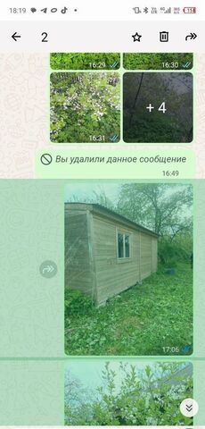 земля рп Елатьма ул Шевченко фото