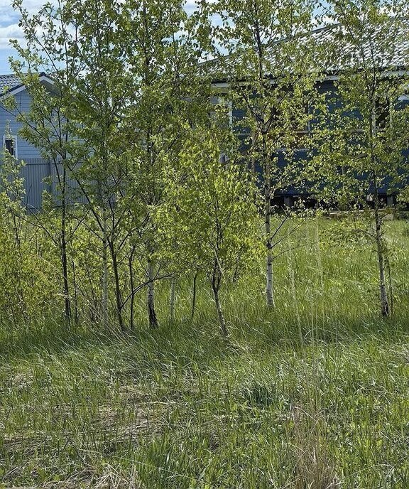 земля г Наро-Фоминск тер Новинское Наро-Фоминский городской округ фото 6