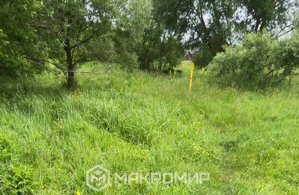 земля г Брянск п Большое Полпино ул Челюскинцев 2 р-н Володарский фото 2