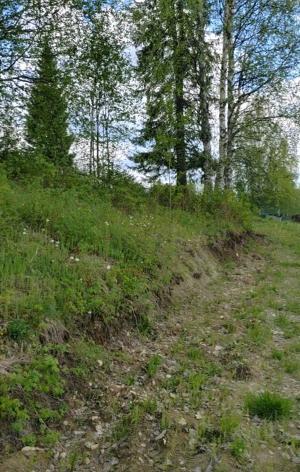земля г Ухта садово-огородническое товарищество Геолог-69 фото 9